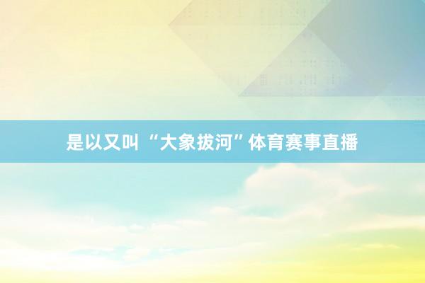 是以又叫 “大象拔河”体育赛事直播