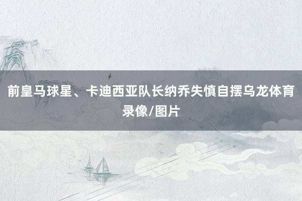 前皇马球星、卡迪西亚队长纳乔失慎自摆乌龙体育录像/图片