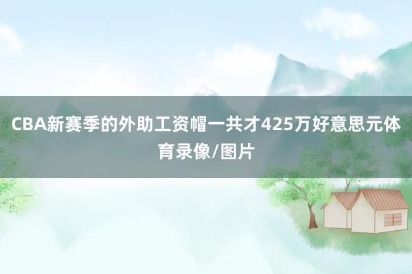 CBA新赛季的外助工资帽一共才425万好意思元体育录像/图片