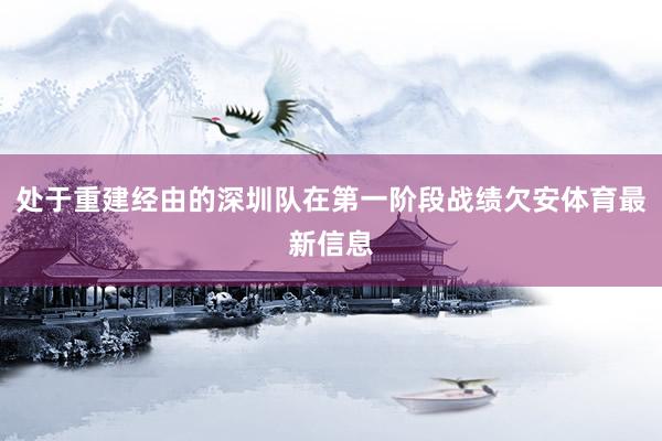 处于重建经由的深圳队在第一阶段战绩欠安体育最新信息