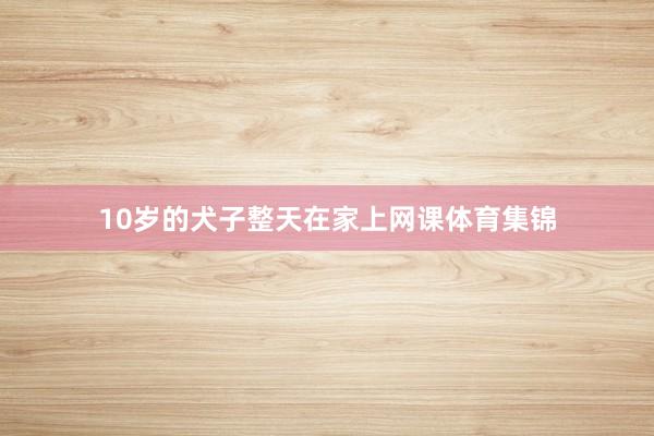 10岁的犬子整天在家上网课体育集锦