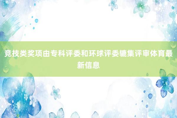 竞技类奖项由专科评委和环球评委辘集评审体育最新信息