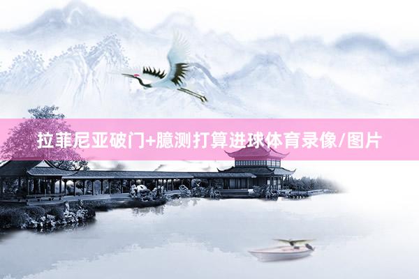 拉菲尼亚破门+臆测打算进球体育录像/图片