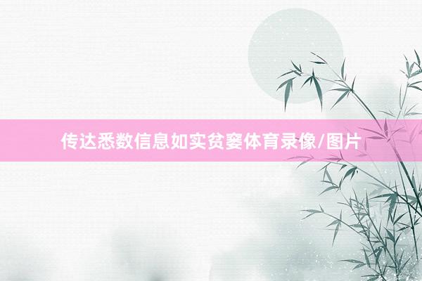 传达悉数信息如实贫窭体育录像/图片