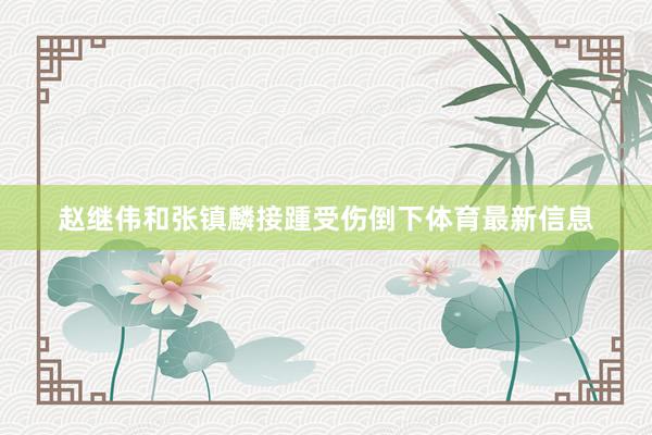 赵继伟和张镇麟接踵受伤倒下体育最新信息