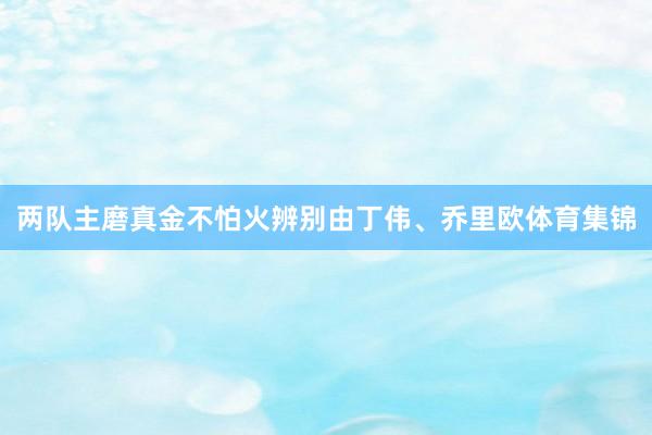 两队主磨真金不怕火辨别由丁伟、乔里欧体育集锦