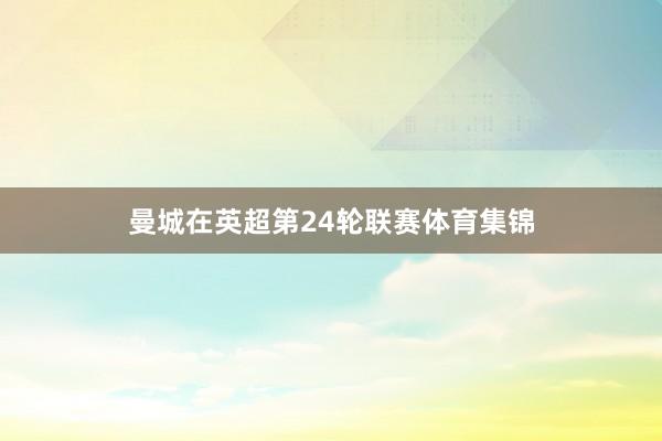 曼城在英超第24轮联赛体育集锦