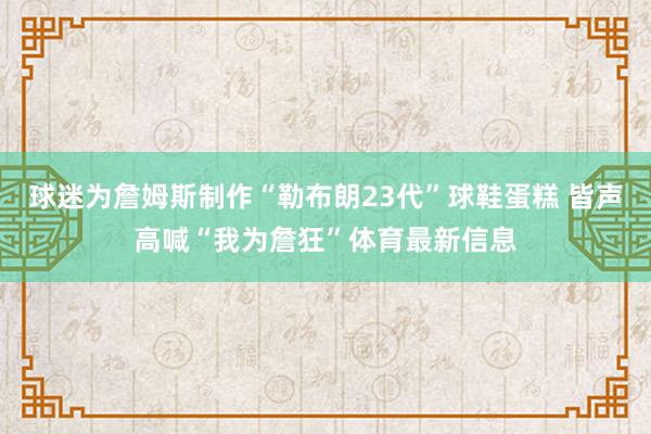 球迷为詹姆斯制作“勒布朗23代”球鞋蛋糕 皆声高喊“我为詹狂”体育最新信息
