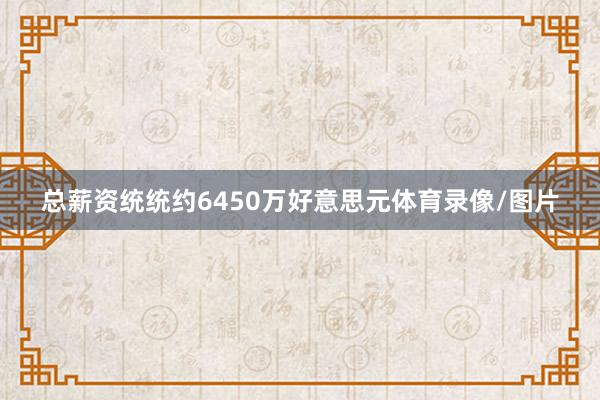 总薪资统统约6450万好意思元体育录像/图片