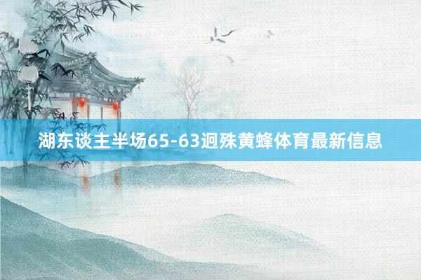 湖东谈主半场65-63迥殊黄蜂体育最新信息
