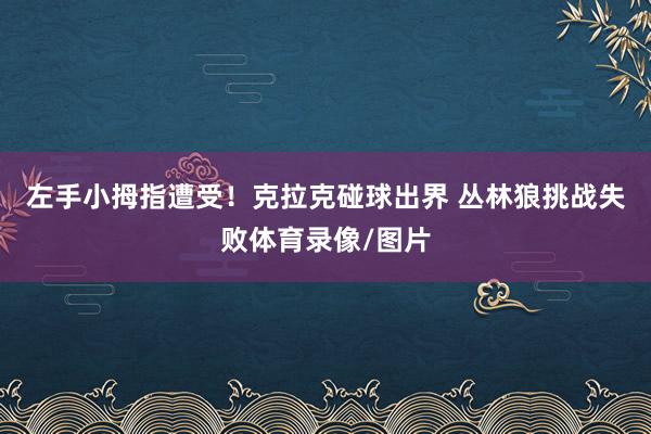 左手小拇指遭受！克拉克碰球出界 丛林狼挑战失败体育录像/图片