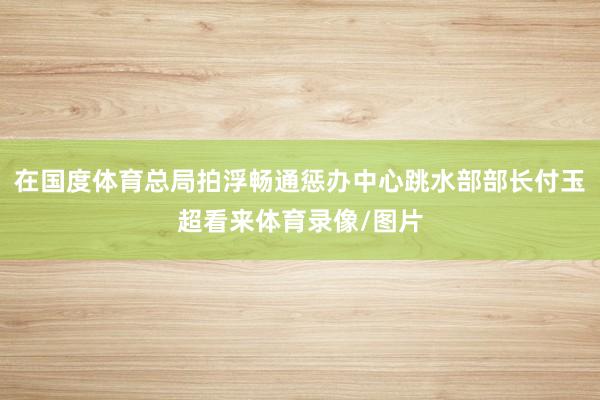 在国度体育总局拍浮畅通惩办中心跳水部部长付玉超看来体育录像/图片