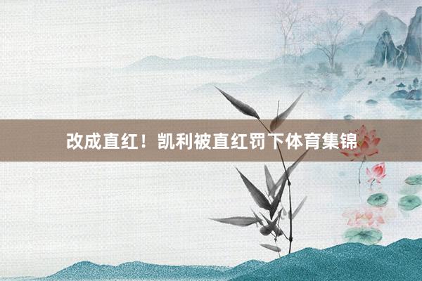 改成直红！凯利被直红罚下体育集锦