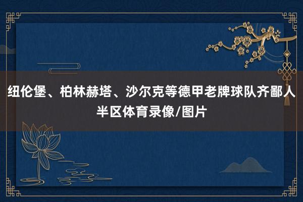 纽伦堡、柏林赫塔、沙尔克等德甲老牌球队齐鄙人半区体育录像/图片