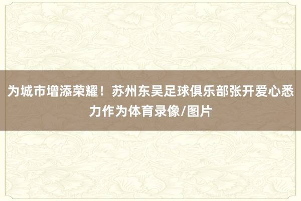 为城市增添荣耀！苏州东吴足球俱乐部张开爱心悉力作为体育录像/图片