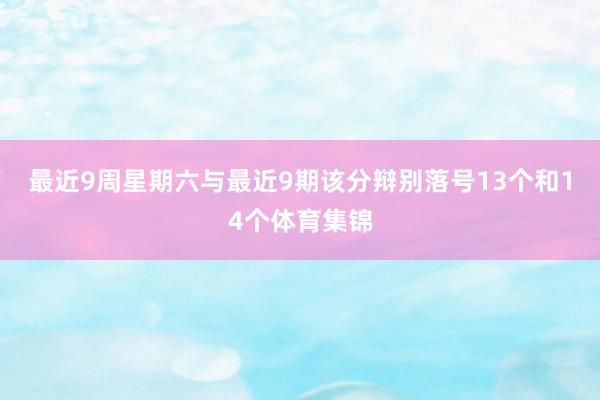 最近9周星期六与最近9期该分辩别落号13个和14个体育集锦