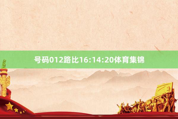 号码012路比16:14:20体育集锦