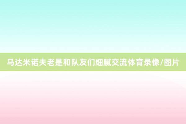 马达米诺夫老是和队友们细腻交流体育录像/图片
