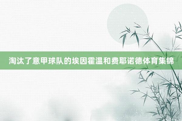 淘汰了意甲球队的埃因霍温和费耶诺德体育集锦