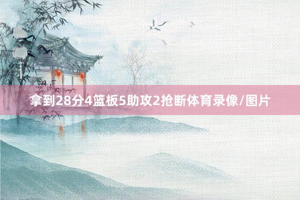拿到28分4篮板5助攻2抢断体育录像/图片