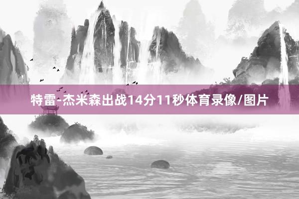特雷-杰米森出战14分11秒体育录像/图片