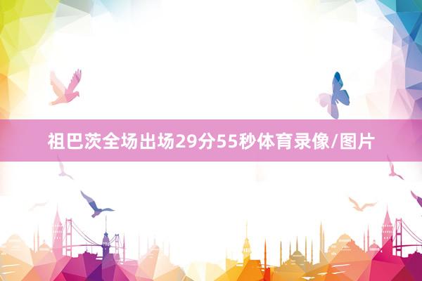 祖巴茨全场出场29分55秒体育录像/图片