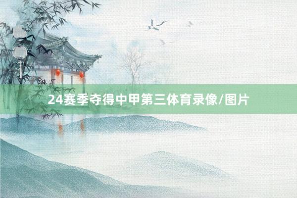 24赛季夺得中甲第三体育录像/图片