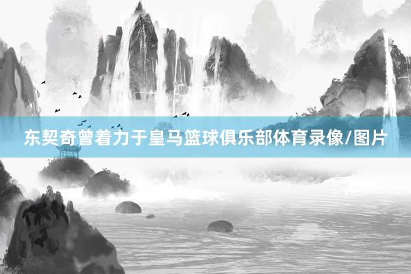 东契奇曾着力于皇马篮球俱乐部体育录像/图片