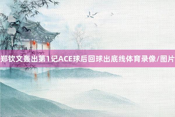 郑钦文轰出第1记ACE球后回球出底线体育录像/图片