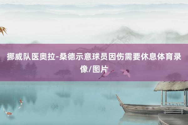 挪威队医奥拉-桑德示意球员因伤需要休息体育录像/图片