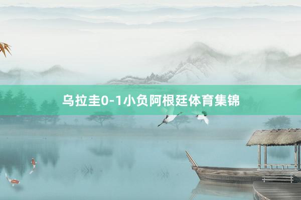 乌拉圭0-1小负阿根廷体育集锦