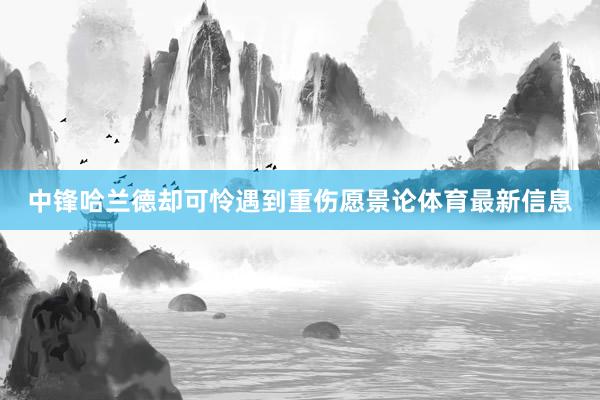 中锋哈兰德却可怜遇到重伤愿景论体育最新信息
