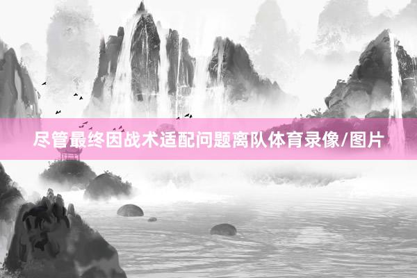 尽管最终因战术适配问题离队体育录像/图片