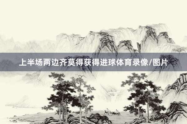 上半场两边齐莫得获得进球体育录像/图片