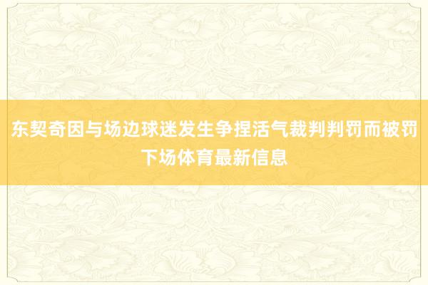 东契奇因与场边球迷发生争捏活气裁判判罚而被罚下场体育最新信息