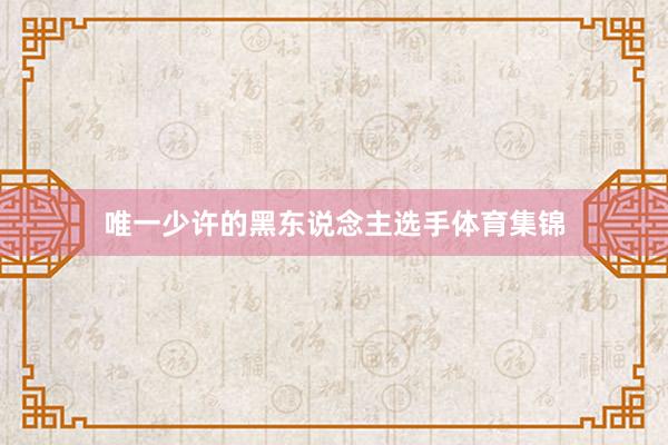 唯一少许的黑东说念主选手体育集锦