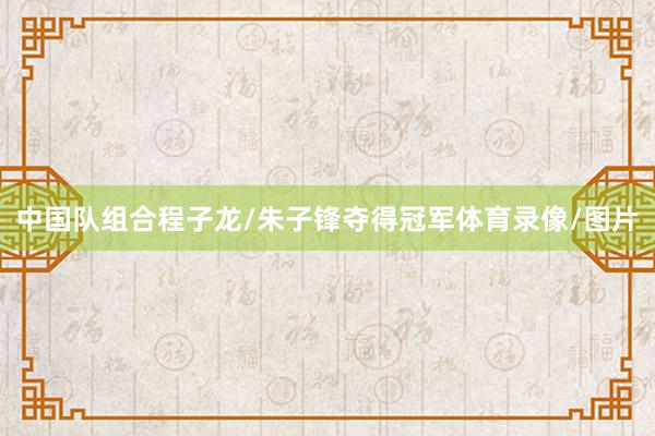 中国队组合程子龙/朱子锋夺得冠军体育录像/图片