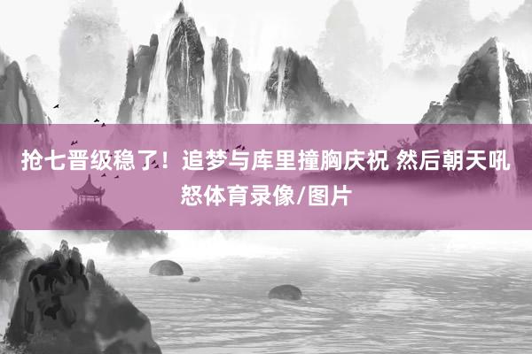 抢七晋级稳了！追梦与库里撞胸庆祝 然后朝天吼怒体育录像/图片