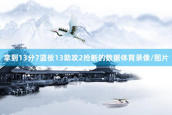 拿到13分7篮板13助攻2抢断的数据体育录像/图片