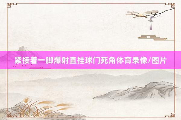 紧接着一脚爆射直挂球门死角体育录像/图片
