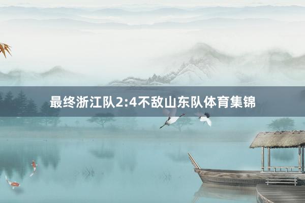 最终浙江队2:4不敌山东队体育集锦