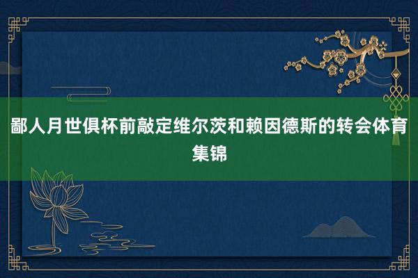 鄙人月世俱杯前敲定维尔茨和赖因德斯的转会体育集锦