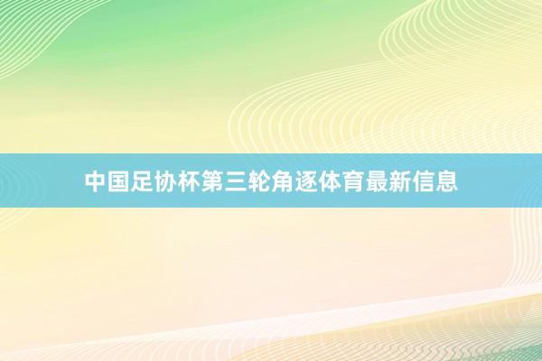 中国足协杯第三轮角逐体育最新信息