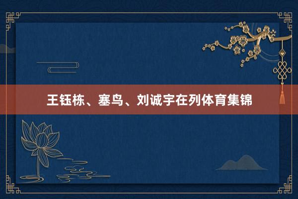 王钰栋、塞鸟、刘诚宇在列体育集锦