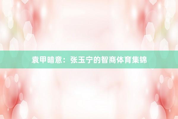 袁甲暗意：张玉宁的智商体育集锦