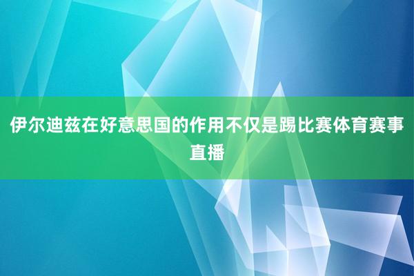 伊尔迪兹在好意思国的作用不仅是踢比赛体育赛事直播