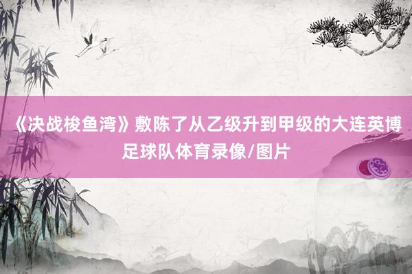 《决战梭鱼湾》敷陈了从乙级升到甲级的大连英博足球队体育录像/图片