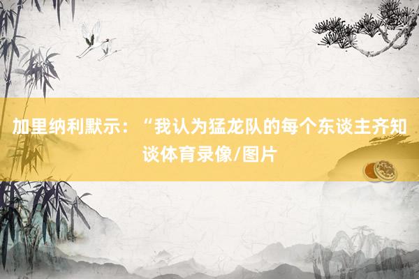 加里纳利默示：“我认为猛龙队的每个东谈主齐知谈体育录像/图片