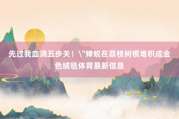 先过我血溅五步关!