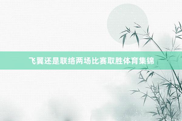 飞翼还是联络两场比赛取胜体育集锦